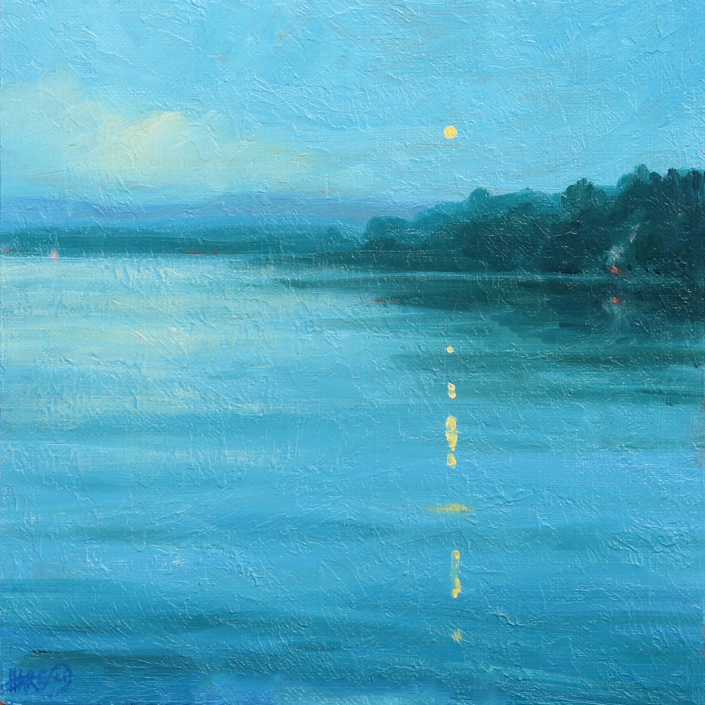 Moonlight Over The Lake