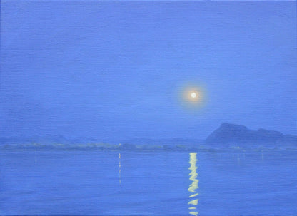 Moonlight Over Udaipur